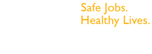 Computer Health And Safety - LOHP