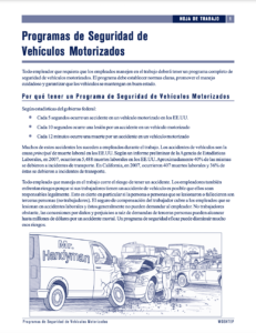 Programas de seguridad de vehículos motorizados